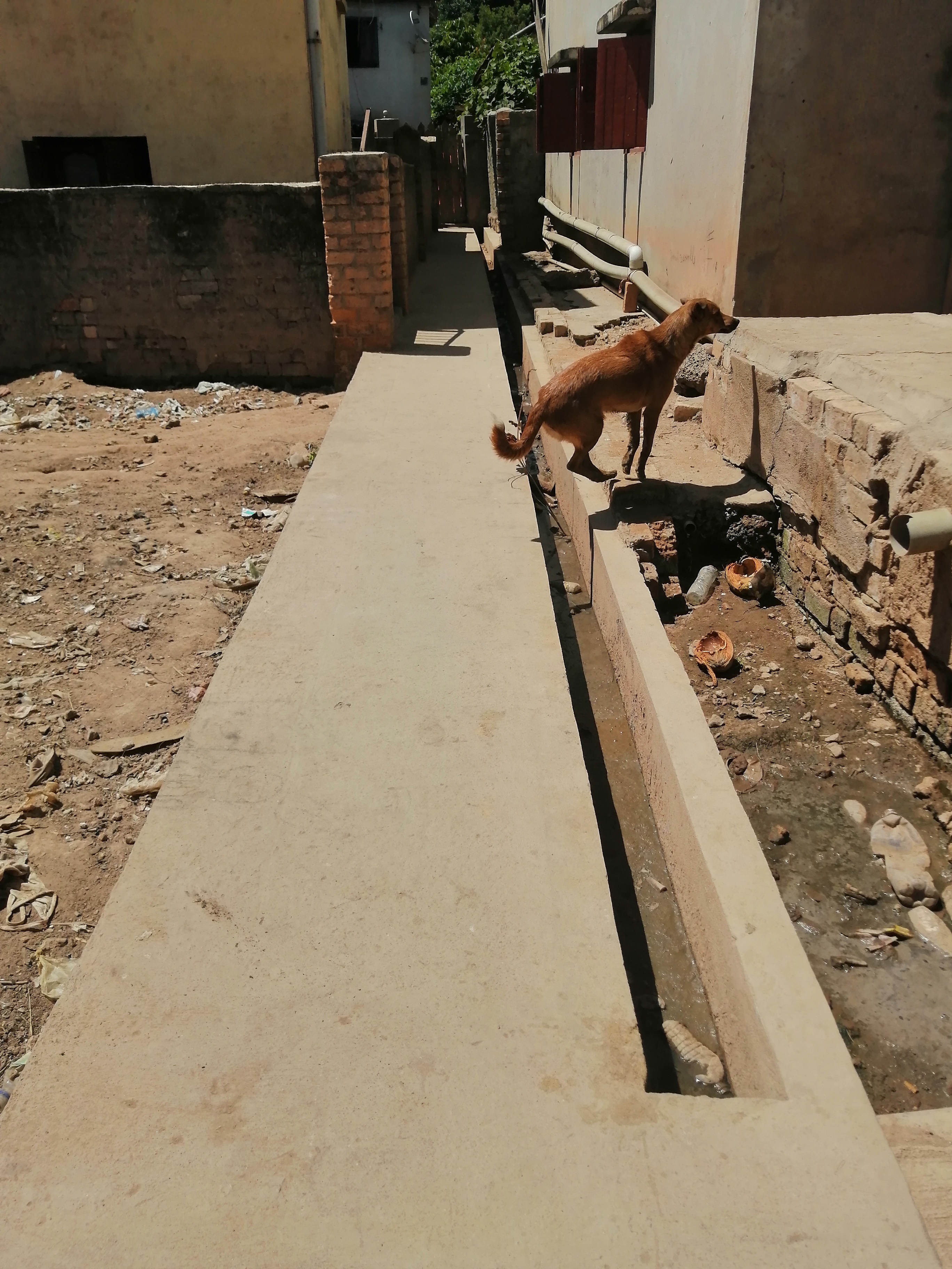 Image chantier après