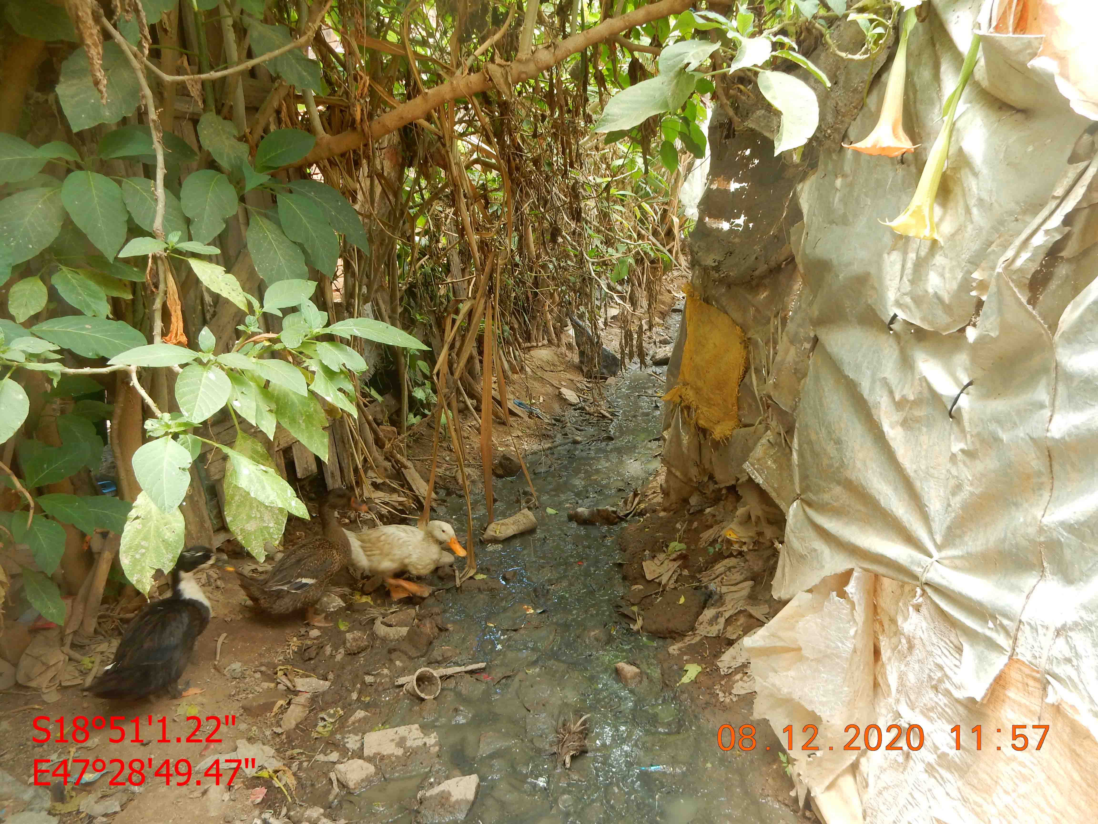 Image chantier avant